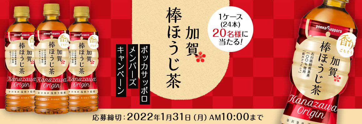 春夏新作 24本入 ふるさと納税 油谷製茶 1箱 石川県宝達志水